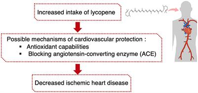 Association between ischemic heart disease and dietary intake of lycopene: a case–control study